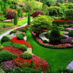 Soñar con Jardín ¿Es realmente tan maravilloso?